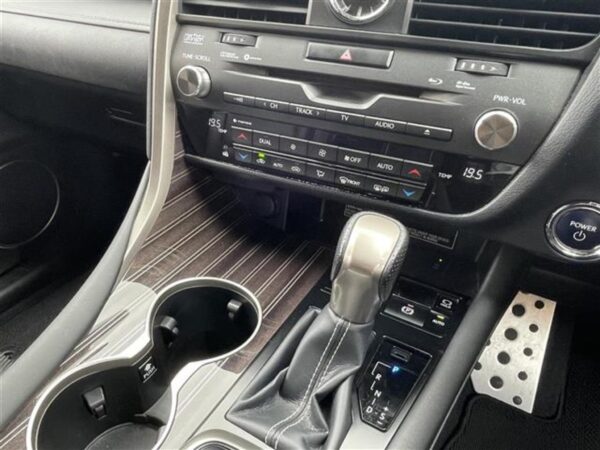 LEXUS RX450h F-SPORT 2018 - Image 25